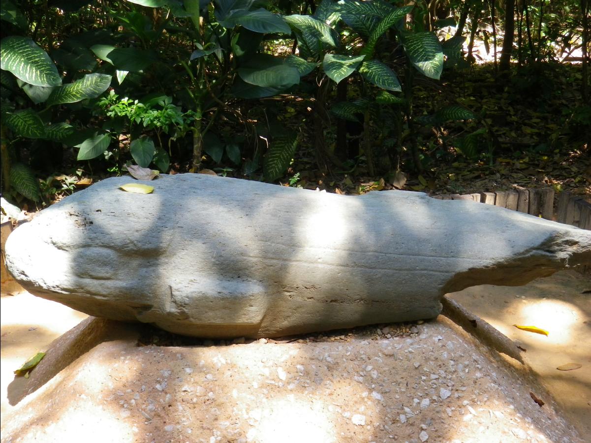 Olmeca culture museum42